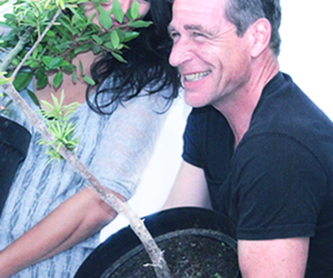 Trees for Tourism Program