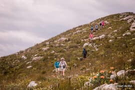 Fynbos Trail Hiking Distance