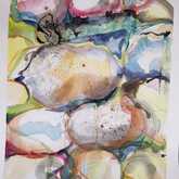 Spot the small creature in each!