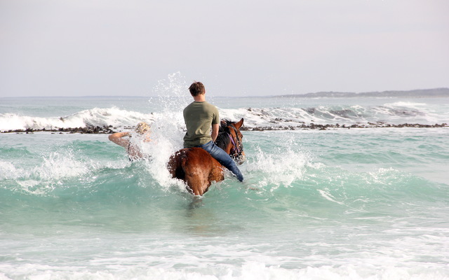 #Gansbaai & Pearly Beach Horse Trails