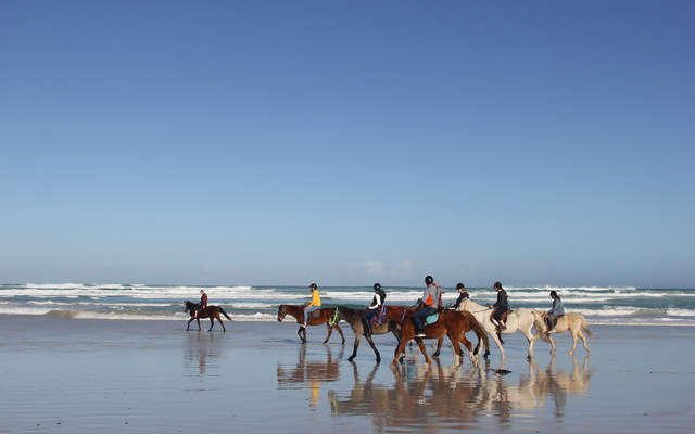 #Gansbaai & Pearly Beach Horse Trails