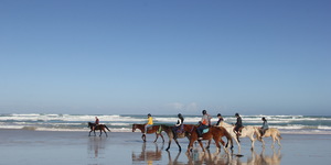 #Gansbaai & Pearly Beach Horse Trails