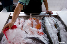 Gansbaai_vismark_1_fresh_fish_1532346566