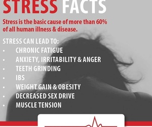 Stress Facts & Stress Relievers