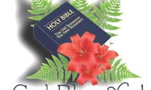 Diens van Barmhartigheid