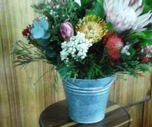 Bulletin: 30 Julie tot 5 Augustus 2018