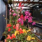 2014 season 2014 season