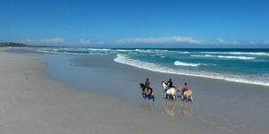 #Gansbaai & Pearly Beach Horse Trails