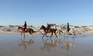 Winter... what Winter?!