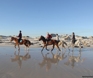 Winter... what Winter?!