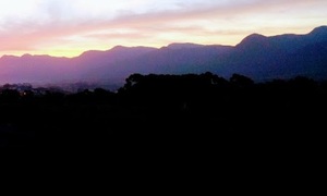 What's on 12 - 19 July