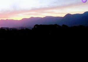 What's on 12 - 19 July