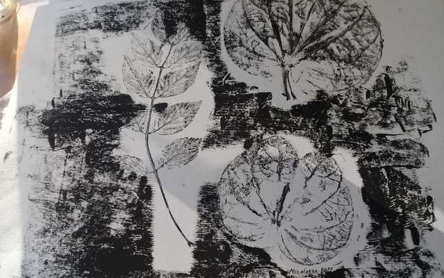 WhatsApp_Image_2018_08_16_at_12.02.12_1534485561