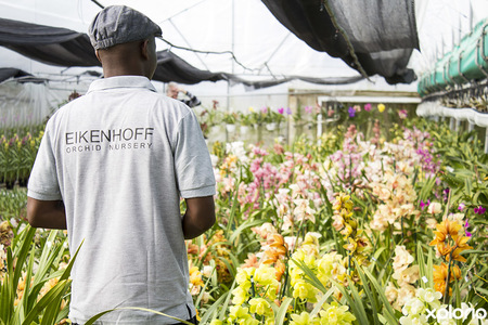 eikenhoff_shirt_of_workers_1534772283