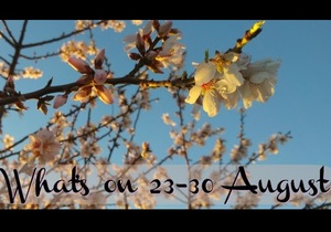 What's on 23 - 30 August