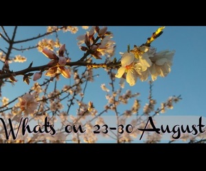 What's on 23 - 30 August