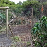 20180607_140236_1__1535549079