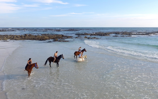 #gansbaai & pearly beach horse trails