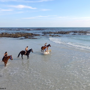 #gansbaai & pearly beach horse trails