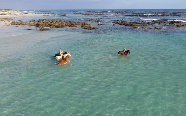 #gansbaai & pearly beach horse trails
