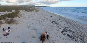 #gansbaai & pearly beach horse trails