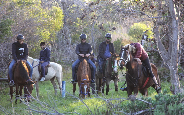 #gansbaai & pearly beach horse trails