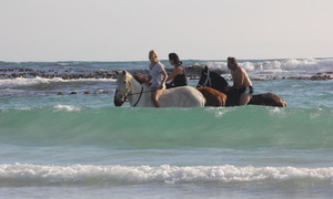 Some of our latest reviews on TripAdvisor