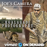 Kgalagadi Photography