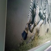 We use the best photographic fine art paper like German Etching - Hahne Muhle Paper