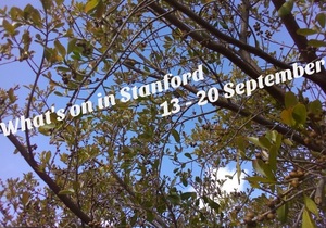 What's on 13 - 20 September