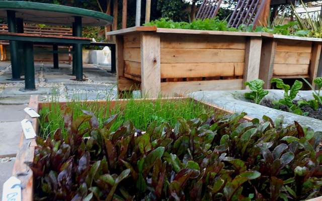 41444486_945404715667627_4253211061307572224_o_1536925487