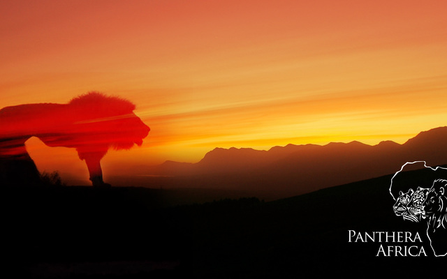 unnamed_87__1537448483