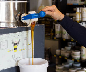 Where to find Raw Quality South African Honey?
