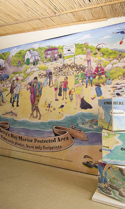 bettys_bay_places_to_eat_restaurant_on_the_edge_restaurant_view_of_protecetd_area_1537526459