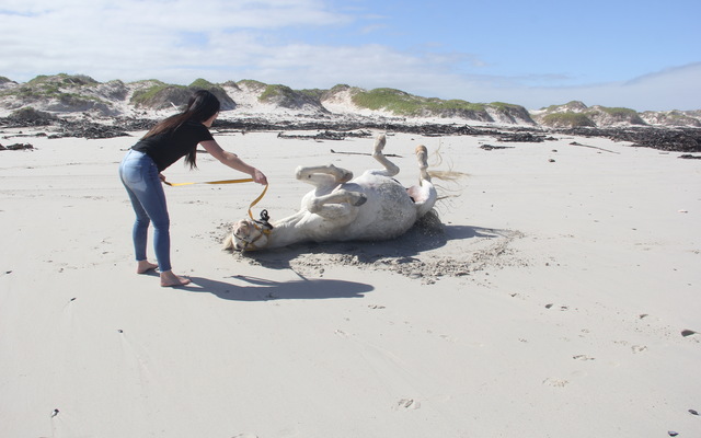 #Gansbaai & Pearly Beach Horse Trails