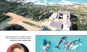 Life next to the ocean