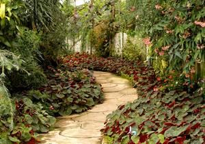 Quote by an unknown author