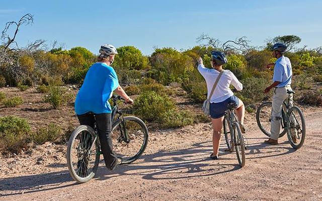 12144670_10153907593621677_1540175778408108243_n_1538478365