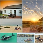 Top 5 Spring Activities