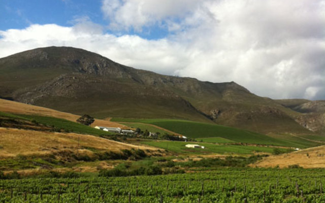 things_to_do_wine_tours_farms_1538563060