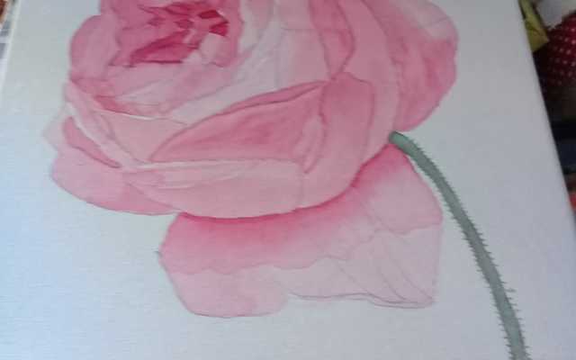 WhatsApp_Image_2018_10_03_at_14.32.31_1538649218