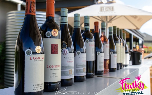 IT7A4953_1539769089 IT7A4953_1539769089