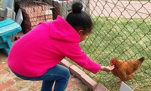 A New Girl at School