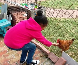 A New Girl at School