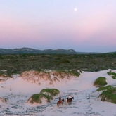 #Gansbaai & Pearly Beach Horse Trails.