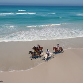 #Gansbaai & Pearly Beach Horse Trails.