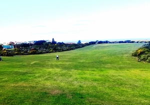 Gansbaai Golf Club green fees cart hire and squash fees 