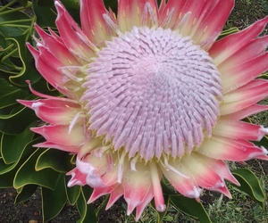 AGUR SE GEBED OOR: ARMOEDE, RYKDOM EN TEVREDENHEID