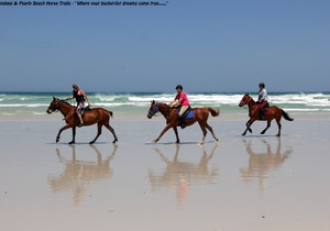 Canters, Swims, Sunsets & Champagne...