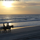 Gansbaai & Pearly Beach Horse Trails